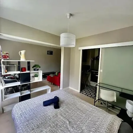 Appartement Jolie T1 Avec Parking Prive *